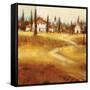 Tuscan Path-Paul Santiago-Framed Stretched Canvas