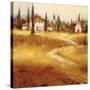 Tuscan Path-Paul Santiago-Stretched Canvas