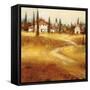 Tuscan Path-Paul Santiago-Framed Stretched Canvas