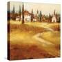 Tuscan Path-Paul Santiago-Stretched Canvas