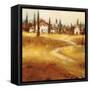 Tuscan Path-Paul Santiago-Framed Stretched Canvas