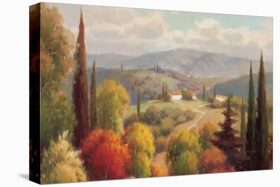 Tuscan Perspective-Vail Oxley-Stretched Canvas