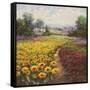 Tuscan Pleasures I-Hulsey-Framed Stretched Canvas