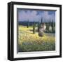 Tuscan Poppies I-David Short-Framed Giclee Print