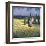 Tuscan Poppies I-David Short-Framed Giclee Print