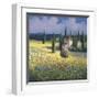 Tuscan Poppies I-David Short-Framed Giclee Print