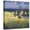 Tuscan Poppies I-David Short-Stretched Canvas