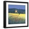 Tuscan Poppies II-David Short-Framed Giclee Print