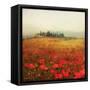 Tuscan Poppies-Amy Melious-Framed Stretched Canvas