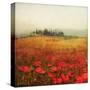 Tuscan Poppies-Amy Melious-Stretched Canvas