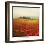 Tuscan Poppies-Amy Melious-Framed Art Print