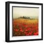 Tuscan Poppies-Amy Melious-Framed Art Print