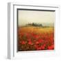 Tuscan Poppies-Amy Melious-Framed Art Print