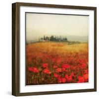 Tuscan Poppies-Amy Melious-Framed Art Print