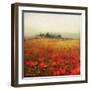 Tuscan Poppies-Amy Melious-Framed Art Print