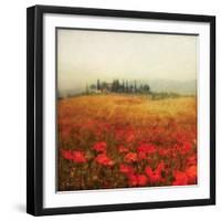 Tuscan Poppies-Amy Melious-Framed Art Print