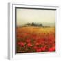 Tuscan Poppies-Amy Melious-Framed Art Print