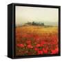 Tuscan Poppies-Amy Melious-Framed Stretched Canvas
