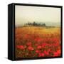 Tuscan Poppies-Amy Melious-Framed Stretched Canvas