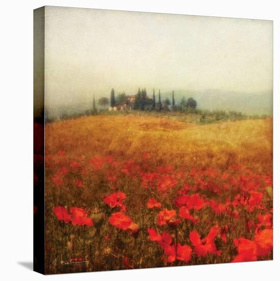 Tuscan Poppies-Amy Melious-Stretched Canvas