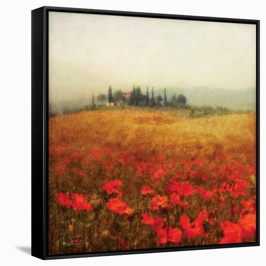 Tuscan Poppies-Amy Melious-Framed Stretched Canvas