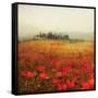 Tuscan Poppies-Amy Melious-Framed Stretched Canvas