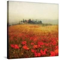Tuscan Poppies-Amy Melious-Stretched Canvas