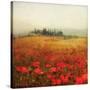 Tuscan Poppies-Amy Melious-Stretched Canvas