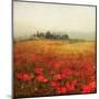 Tuscan Poppies-Amy Melious-Mounted Art Print