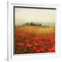 Tuscan Poppies-Amy Melious-Framed Art Print