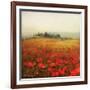 Tuscan Poppies-Amy Melious-Framed Art Print