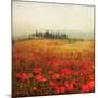 Tuscan Poppies-Amy Melious-Mounted Art Print