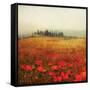 Tuscan Poppies-Amy Melious-Framed Stretched Canvas