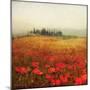 Tuscan Poppies-Amy Melious-Mounted Premium Giclee Print