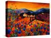 Tuscan Poppies-Pol Ledent-Stretched Canvas