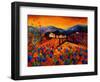 Tuscan Poppies-Pol Ledent-Framed Art Print