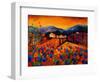 Tuscan Poppies-Pol Ledent-Framed Art Print