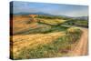 Tuscan Ridge Top Trail-Robert Goldwitz-Stretched Canvas