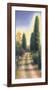 Tuscan Road II-David Wander-Framed Art Print