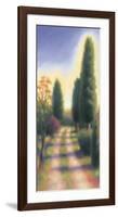 Tuscan Road II-David Wander-Framed Art Print