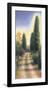 Tuscan Road II-David Wander-Framed Art Print