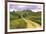 Tuscan Road-Michael Swanson-Framed Art Print