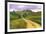 Tuscan Road-Michael Swanson-Framed Art Print