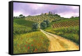 Tuscan Road-Michael Swanson-Framed Stretched Canvas