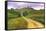 Tuscan Road-Michael Swanson-Framed Stretched Canvas