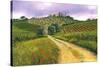 Tuscan Road-Michael Swanson-Stretched Canvas