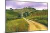 Tuscan Road-Michael Swanson-Mounted Premium Giclee Print