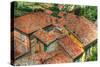 Tuscan Roofs-Robert Goldwitz-Stretched Canvas