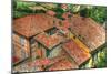 Tuscan Roofs-Robert Goldwitz-Mounted Photographic Print