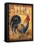 Tuscan Rooster I-Todd Williams-Framed Stretched Canvas